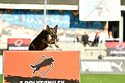 Sanji ze Stribrneho kamene