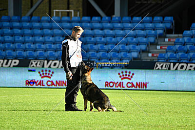 Sanji ze Stribrneho kamene