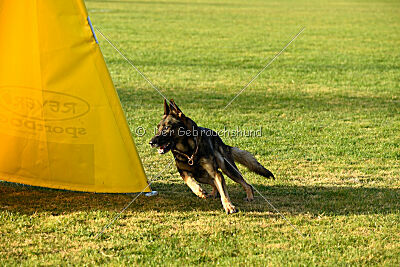 Sanji ze Stribrneho kamene