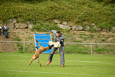 Santanasangel's Karuna