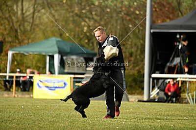 Saturain Stand by Me