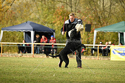 Saturain Stand by Me