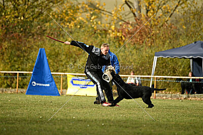 Saturain Stand by Me