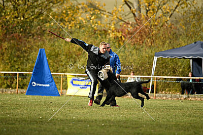 Saturain Stand by Me