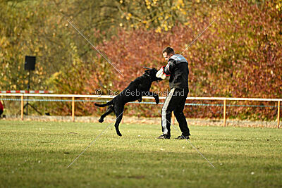 Saturain Stand by Me