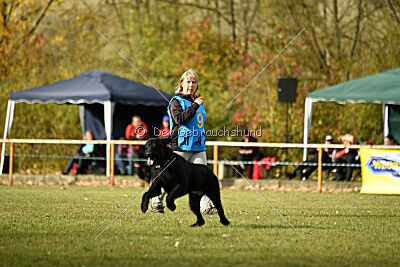 Saturain Stand by Me