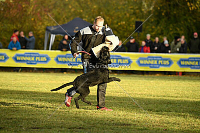 Schnauzerholmen's Fuzzy Gotthard
