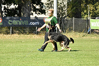 Schrauber's Apex Predator