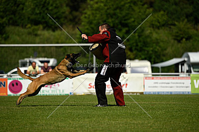 Semyon de l'origine de faucon rouge