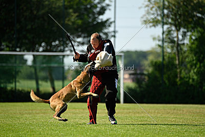 Semyon de l'origine de faucon rouge