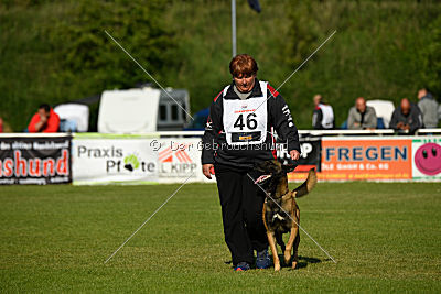Semyon de l'origine de faucon rouge