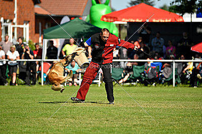 Serro de l'origine de faucon rouge