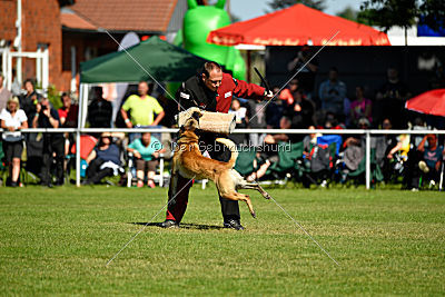 Serro de l'origine de faucon rouge