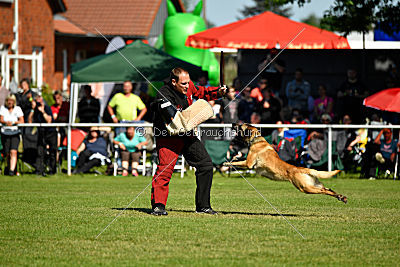 Serro de l'origine de faucon rouge