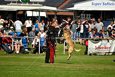 Serro de l'origine de faucon rouge