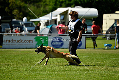 Serro de l'origine de faucon rouge
