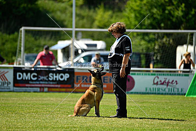 Serro de l'origine de faucon rouge