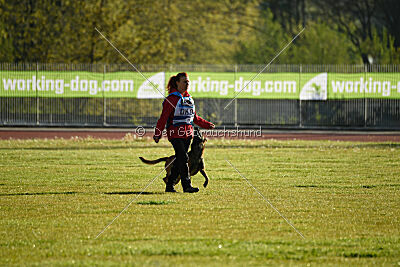 Serro de l'origine de faucon rouge