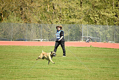 Serro de l'origine de faucon rouge