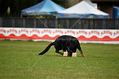 Sety von Haus Jaragon