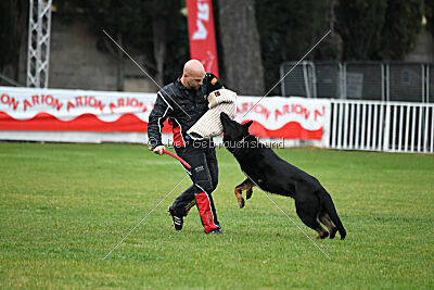 Sety von Haus Jaragon