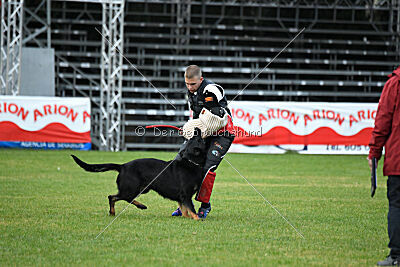 Sety von Haus Jaragon