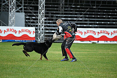 Sety von Haus Jaragon