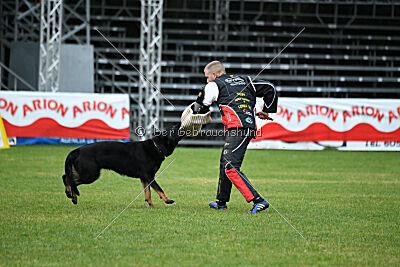 Sety von Haus Jaragon