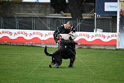 Sety von Haus Jaragon