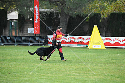 Sety von Haus Jaragon