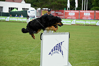 Shadow von der Jagsthöhe