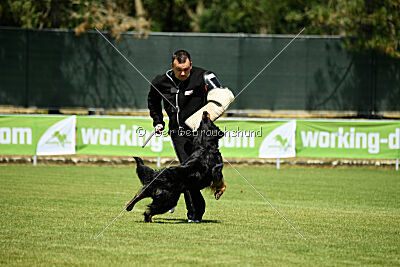 Shadow von der Jagsthöhe