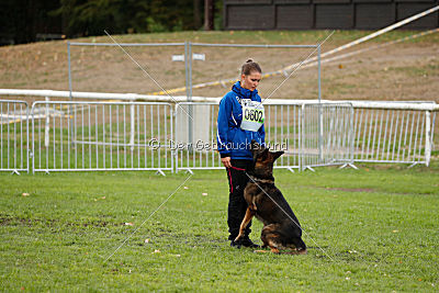 Sid vom Team bösen Bruderblick