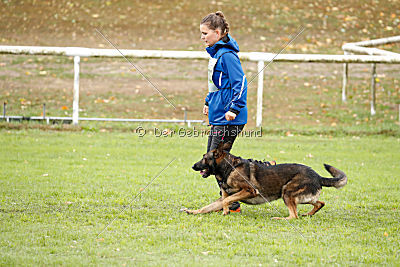 Sid vom Team bösen Bruderblick