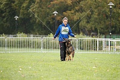 Sid vom Team bösen Bruderblick