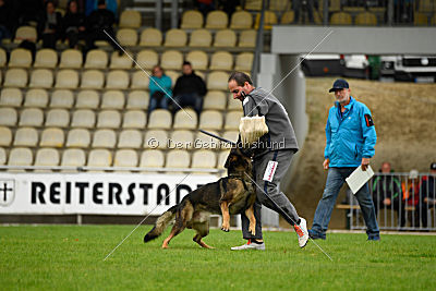 Sid vom Team bösen Bruderblick