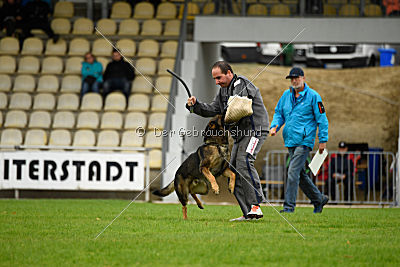 Sid vom Team bösen Bruderblick