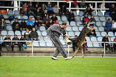 Sid vom Team bösen Bruderblick