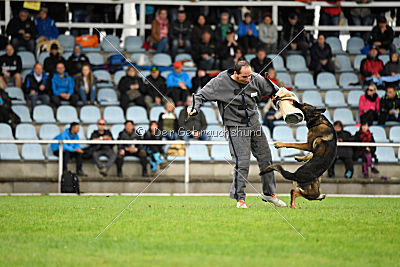 Sid vom Team bösen Bruderblick