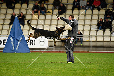 Sid vom Team bösen Bruderblick