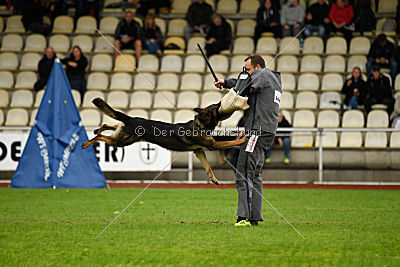 Sid vom Team bösen Bruderblick