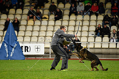 Sid vom Team bösen Bruderblick