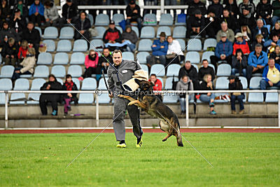 Sid vom Team bösen Bruderblick