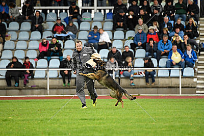 Sid vom Team bösen Bruderblick