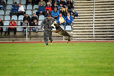 Sid vom Team bösen Bruderblick