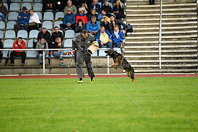 Sid vom Team bösen Bruderblick