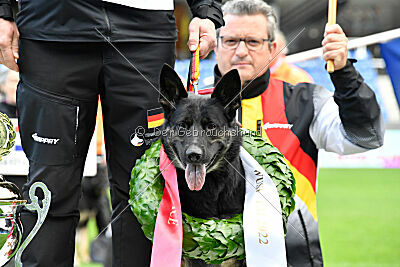 Siegerehrung, Victory Ceremony