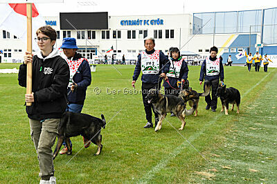 Siegerehrung, Victory Ceremony