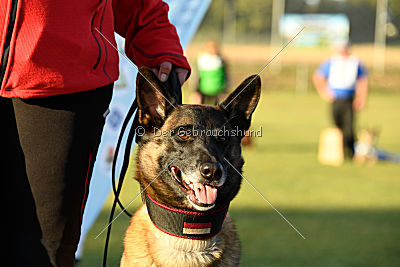 Siegerehrung, Victory Ceremony