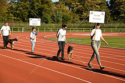 Siegerehrung, Victory Ceremony